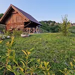 Holiday home Vineyard Vinska Grajska Kasca *