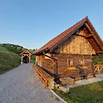 Vineyard Vinska Grajska Kasca Mirna