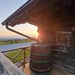Vineyard Vinska Grajska Kasca Holiday home