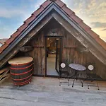 Vineyard Vinska Grajska Kasca Mirna