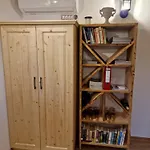 Vineyard Vinska Grajska Kasca Mirna