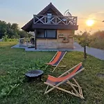 Vineyard Vinska Grajska Kasca Holiday home