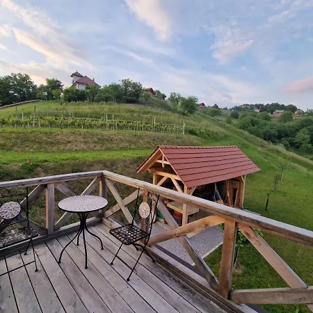 Vineyard Vinska Grajska Kasca Сasa de vacaciones Mirna