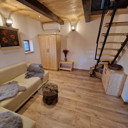 Vineyard Vinska Grajska Kasca *