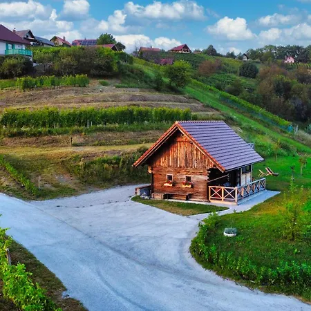 Vineyard Vinska Grajska Kasca *