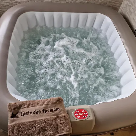 Vineyard Vinska Grajska Kasca Mirna