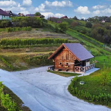 Prázdninový dům Vineyard Vinska Grajska Kasca