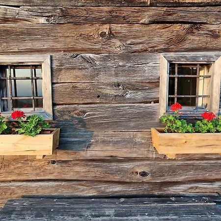 Vineyard Vinska Grajska Kasca Mirna