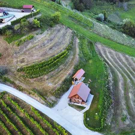 Vineyard Vinska Grajska Kasca Mirna