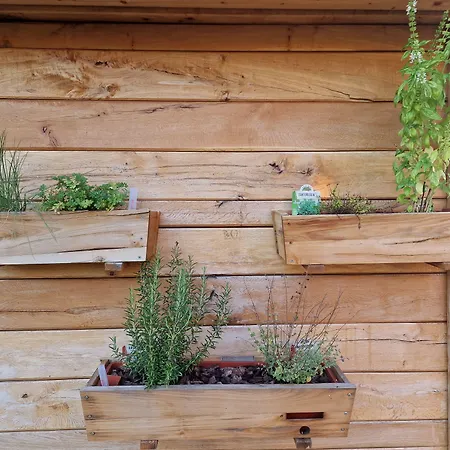 Vineyard Vinska Grajska Kasca Ferienhaus Mirna