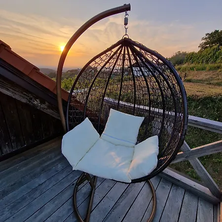 Vineyard Vinska Grajska Kasca Ferienhaus