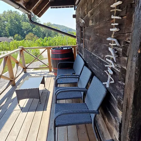 Vineyard Vinska Grajska Kasca Сasa de vacaciones