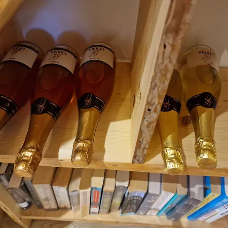 Vineyard Vinska Grajska Kasca Prázdninový dům *