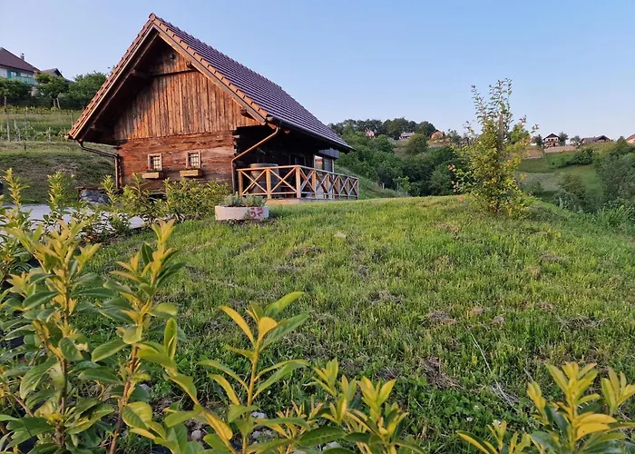 Semesterbostad Vineyard Vinska Grajska Kasca *