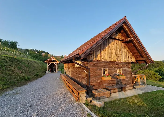 Vineyard Vinska Grajska Kasca Mirna