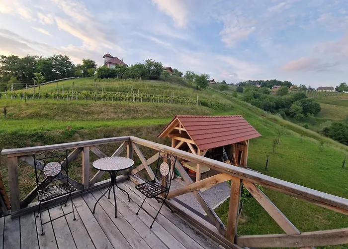 Vineyard Vinska Grajska Kasca Semesterbostad Mirna