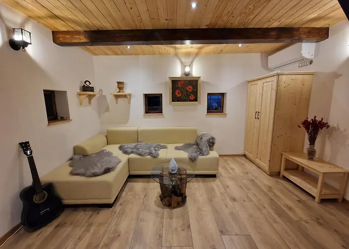 Vineyard Vinska Grajska Kasca Semesterbostad Mirna