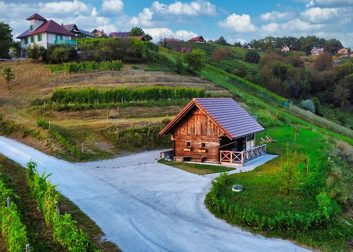 Vineyard Vinska Grajska Kasca *