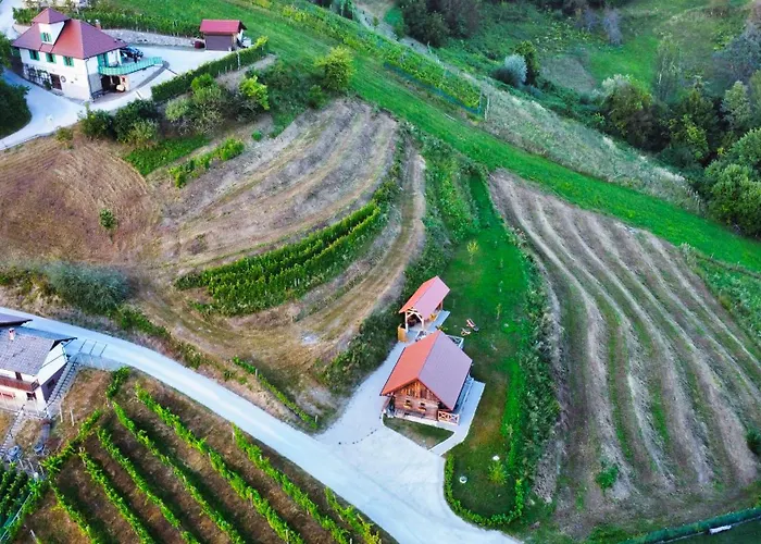 Semesterbostad Vineyard Vinska Grajska Kasca