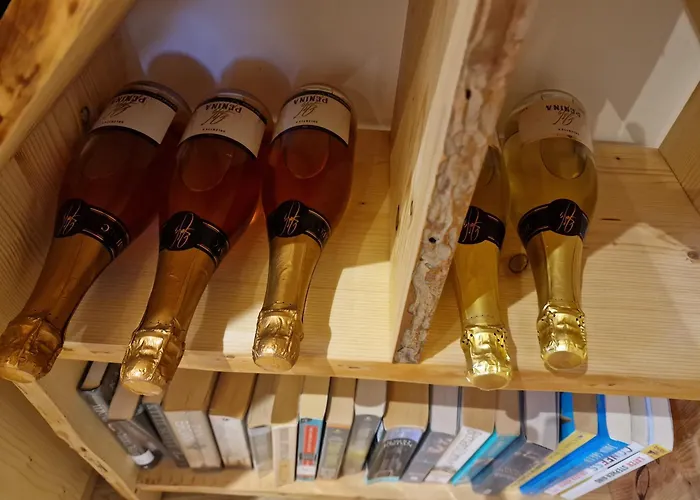 Vineyard Vinska Grajska Kasca Semesterbostad Mirna