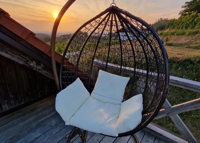 Vineyard Vinska Grajska Kasca Semesterbostad Mirna