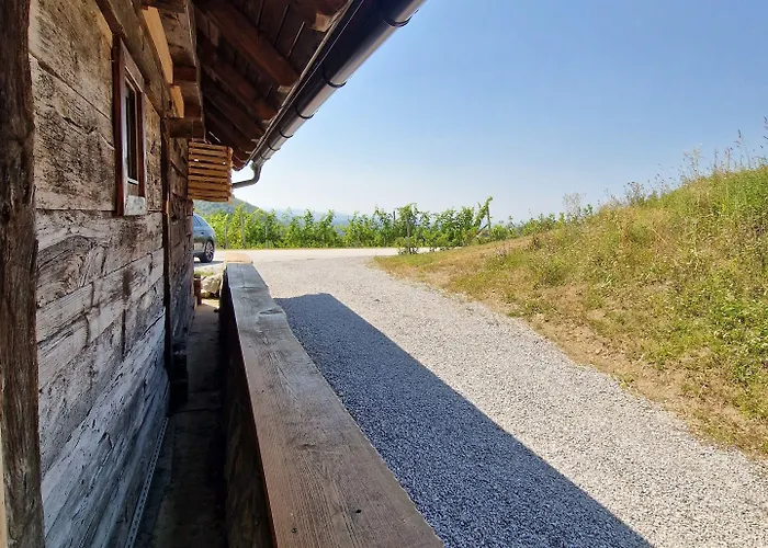 Vineyard Vinska Grajska Kasca *