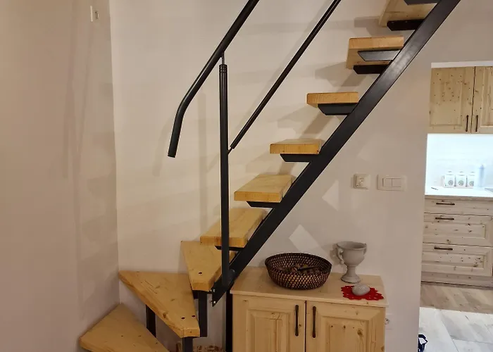 Vineyard Vinska Grajska Kasca Mirna