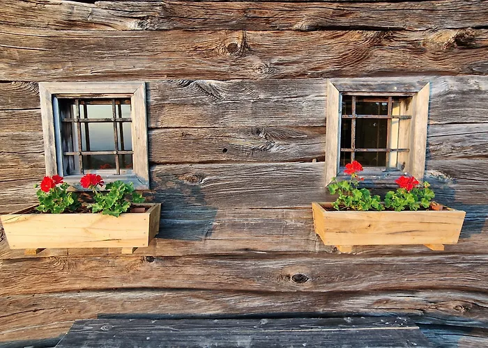 Vineyard Vinska Grajska Kasca Mirna