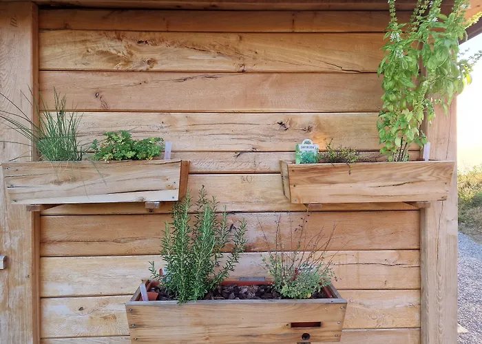 Vineyard Vinska Grajska Kasca Semesterbostad Mirna