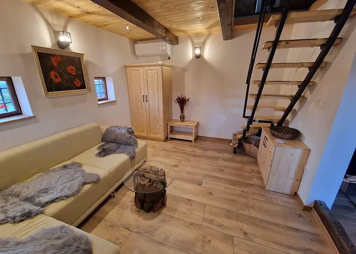 Vineyard Vinska Grajska Kasca Semesterbostad