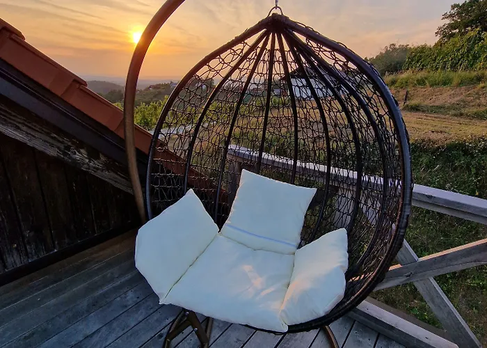 Vineyard Vinska Grajska Kasca Semesterbostad