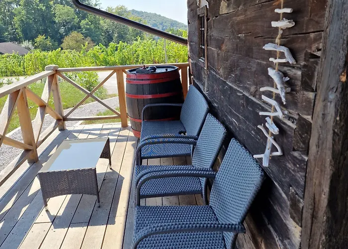 Vineyard Vinska Grajska Kasca Semesterbostad